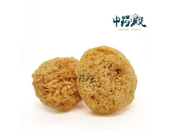 Selected Snow Fungus Without Sulfur 黄金雪耳(无磺) 100GM