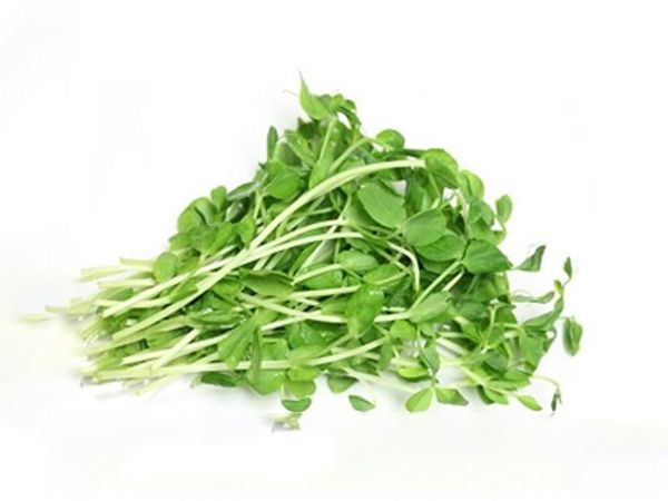Pea Sprout (200g)