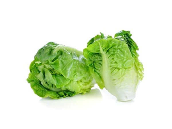 Organic Short Lettuce (250g)