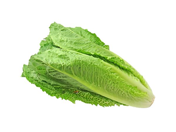 Organic US Lettuce (250g)