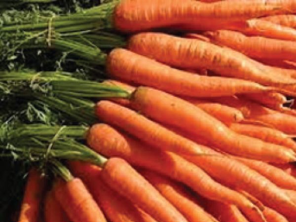 Carrot (300g)