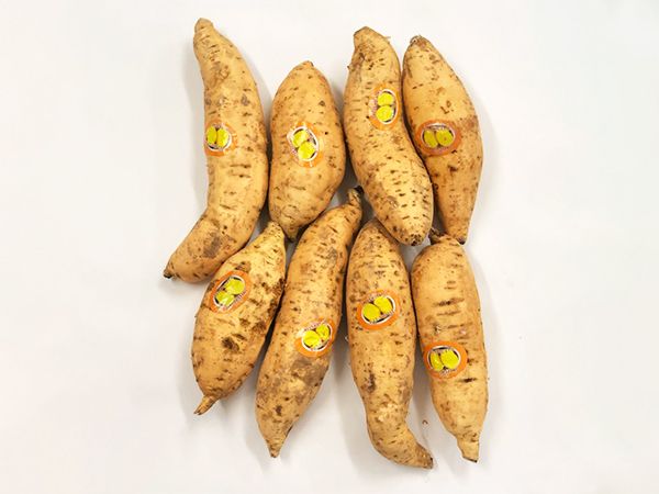 Cilembu Sweet Potato (500g)