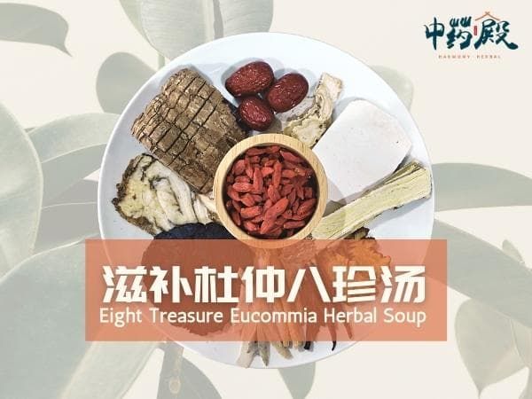 Eight Treasure Eucommia Herbal Soup 滋补杜仲八珍汤 (2 PAX)