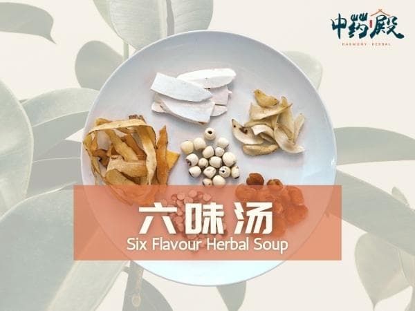 Six Flavour Herbal Soup 六味汤 (4-5 PAX)