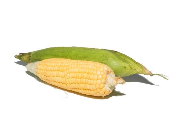 Sweet Corn (1 pcs) - Titi 