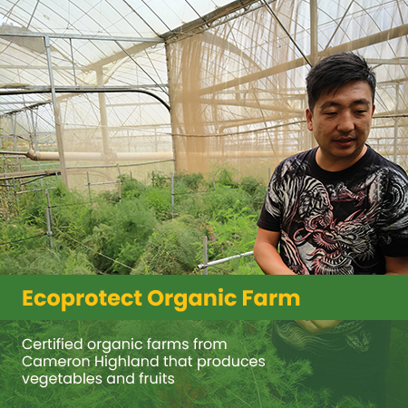 Ecoprotect Organic Farm